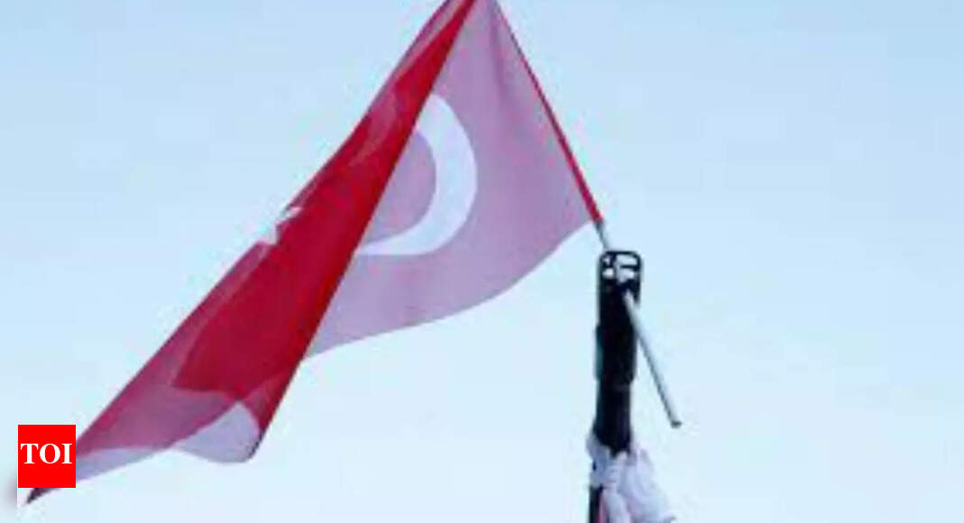 Turkey says it agreed with Egypt to take Gaza cancer patients for treatment