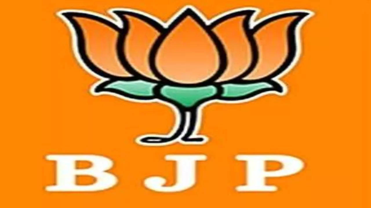 Bjp - Party logo, Political HD phone wallpaper | Pxfuel