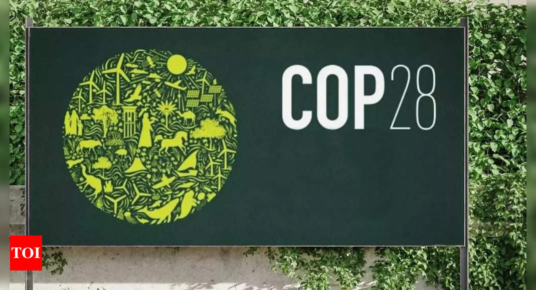 Climate Conference: COP28 Conference Looks Set For Conflict After Tense ...