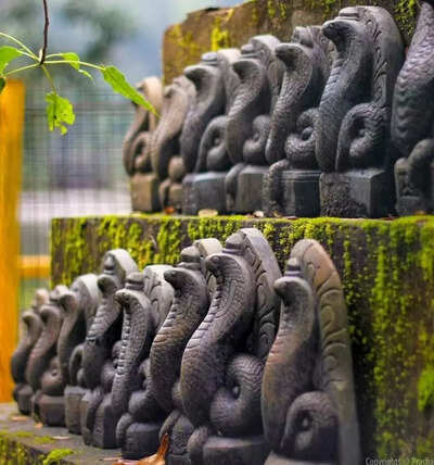 Mannarasala Ayilyam 2023: Mannarasala Sree Nagaraja Temple Ayilyam festival