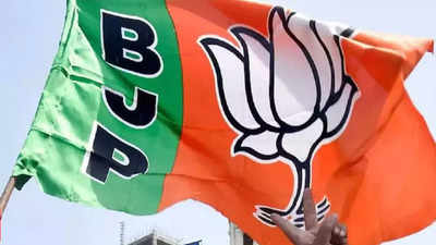 Maharashtra gram panchayat election result: BJP claims party leading