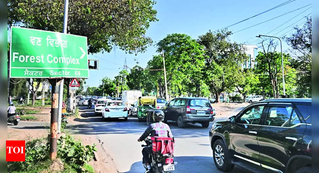 Road Widening: Mohali’s Phase Viii-xi Road To Be Widened By March ...