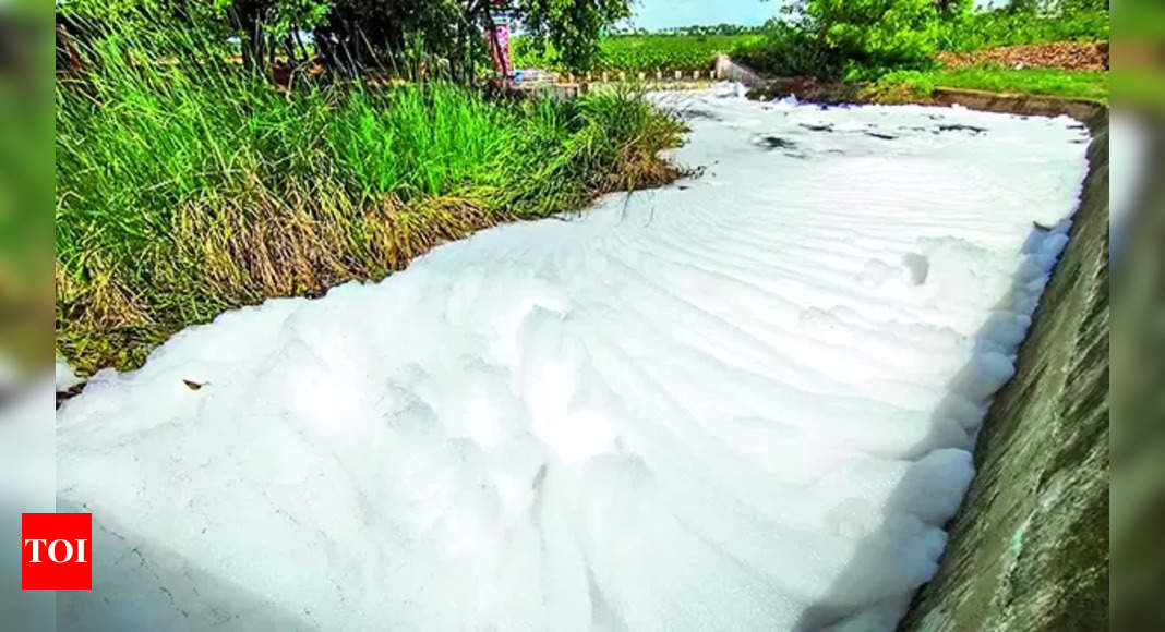 Toxic Foam: Toxic Foam From Channel Poses Threat To Road Users ...