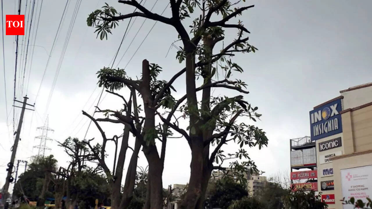 Nature: Nod Not Needed For Light Tree Pruning: New Guidelines Draw Flak ...