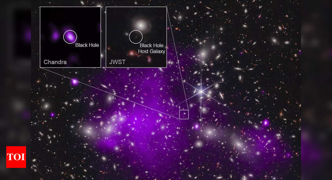 La NASA détecte le trou noir le plus éloigné grâce aux télescopes Chandra et Webb