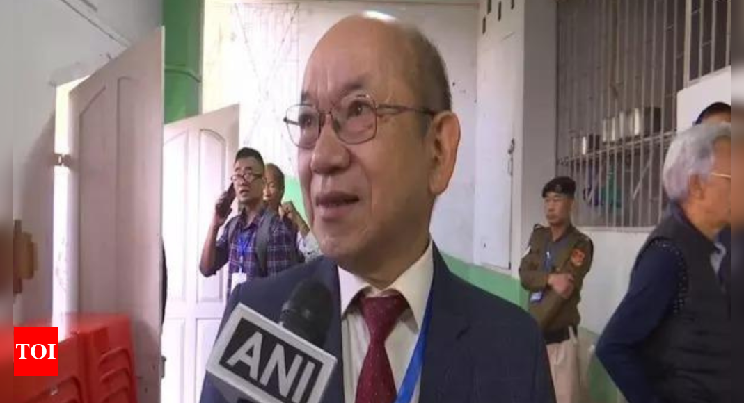 Zpm: Mizoram polls: ZPM working president K Sapdanga casts his vote