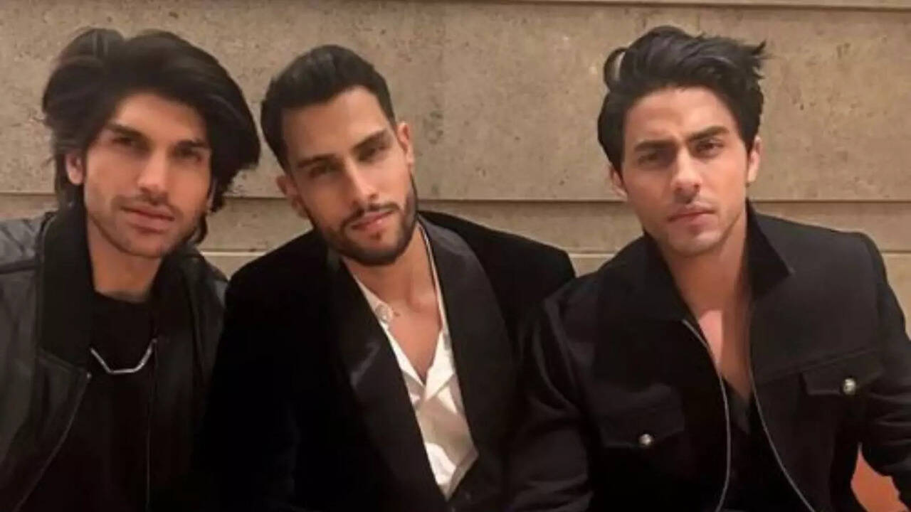 Aryan Khan's Unseen Photos With Friends At Shah Rukh Khan's Grand ...