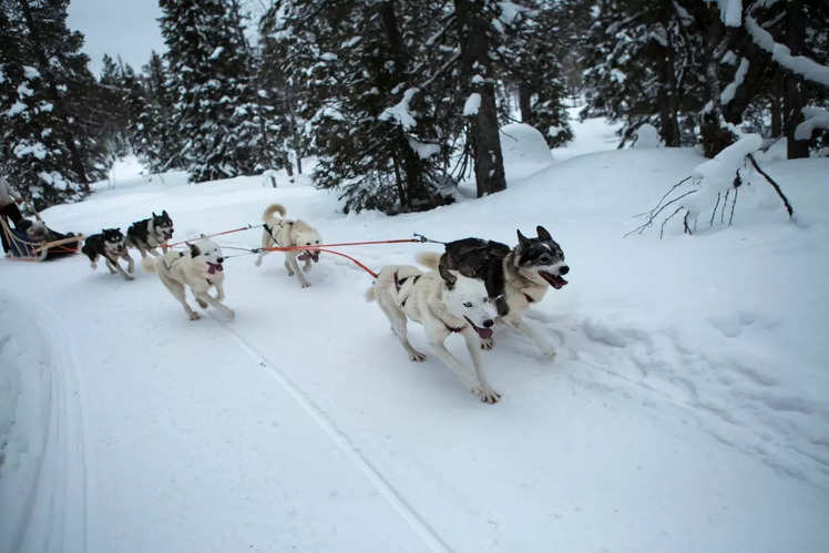 Greenland: Path less trodden: Dreamy photos of Greenland | Times of ...