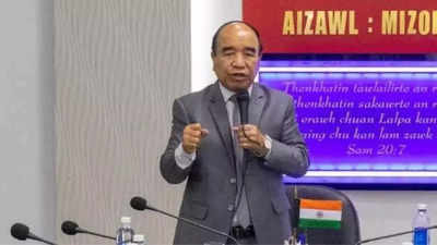 'It could mean anything': Mizoram CM Zoramthanga on high voter turnout