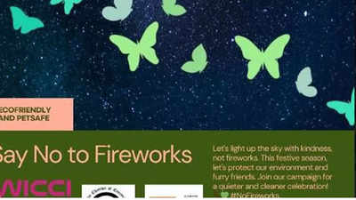 Kolkata NGOs launch no-smoke Diwali campaign, urge citizens to shun firecrackers