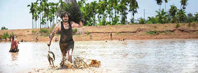 Fish catching is an annual event across the coastal belt, says Gowri Shankar