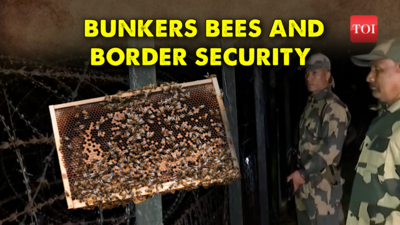 Bees to assist BSF in preventing infiltration at India-Bangladesh border