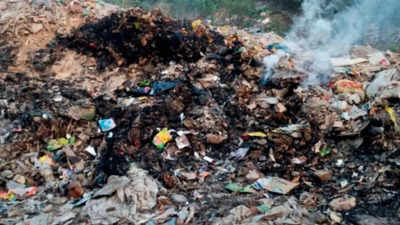 Delhi air pollution: MCD monitoring open burning of waste 24x7, says Shelly Oberoi