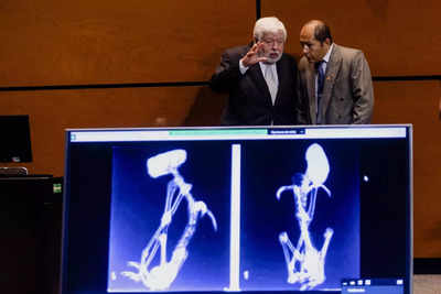 'Alien corpses' presented in Mexico Congress for second time with new evidence of their authenticity