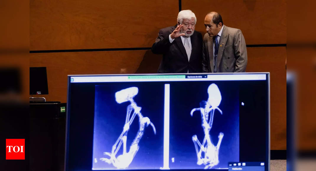 Peruvian Mummies: 'Alien corpses' presented in Mexico Congress for ...