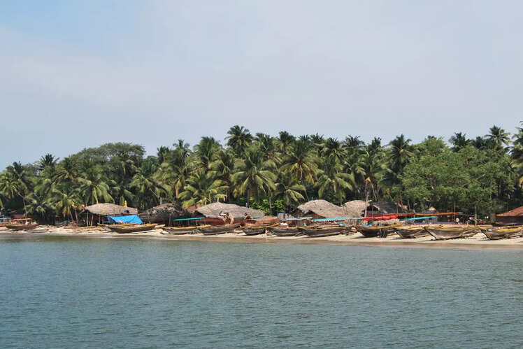 Beach getaways around Mumbai to escape the pollution | Times of India ...