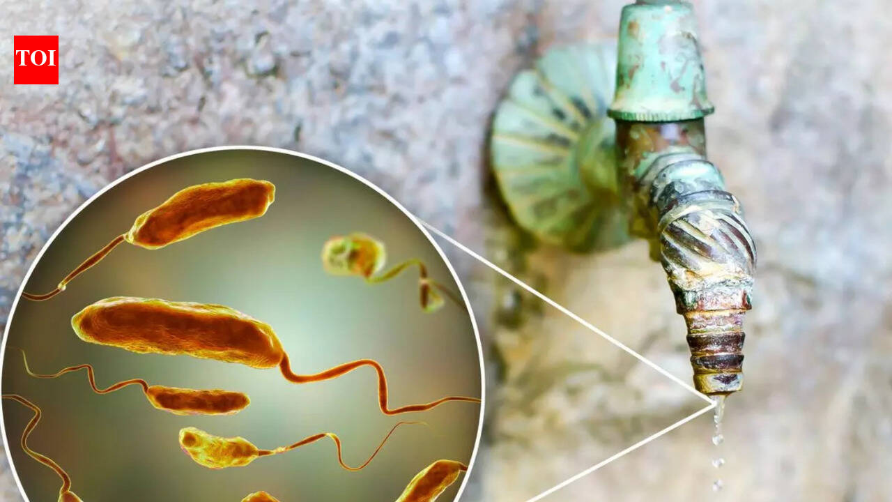 How does contaminated water affect the digestive system?