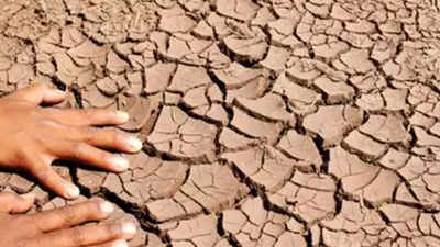 Drought-like condition declared in 959 revenue circles in Maharashtra