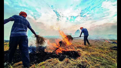 Stubble burning: Count goes past 1k, 4 court cases filed