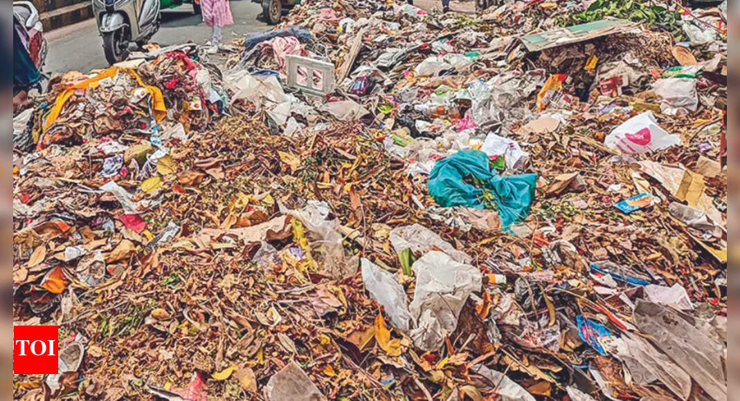 Waste Collection: Safai Staffers ‘stop Waste Collection, Trigger ...