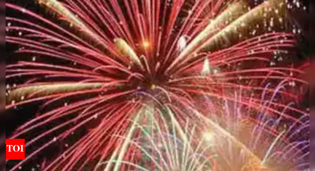 Tamil Nadu govt announces 24 public holidays for 2024 | Chennai News