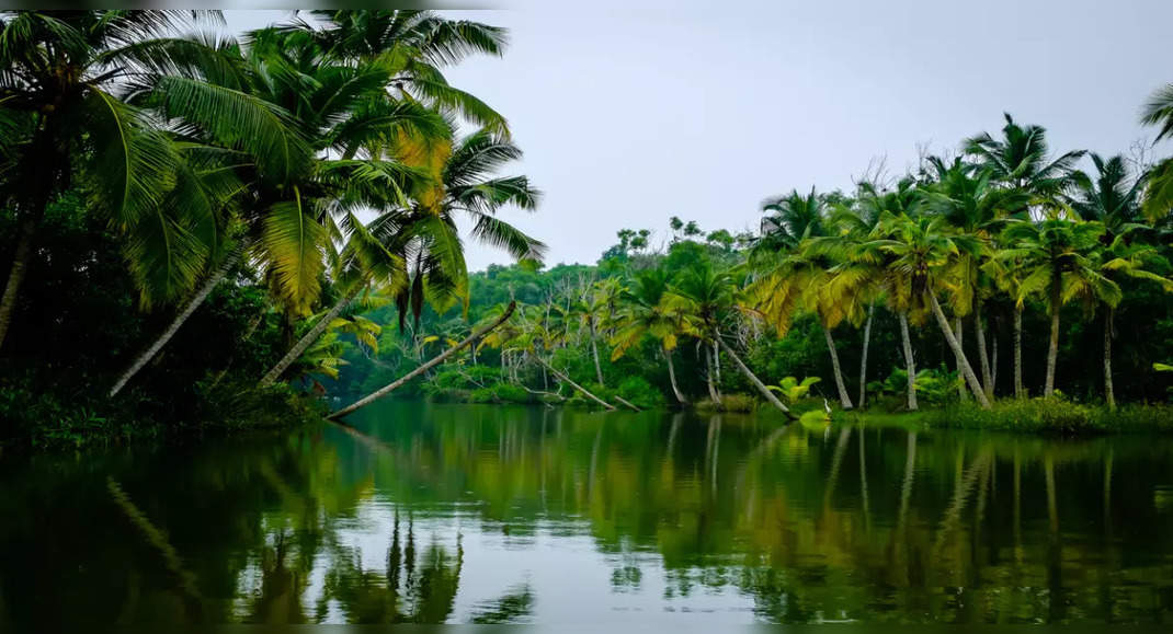 Unseen photos from Kerala that'll make you plan a holiday right now ...