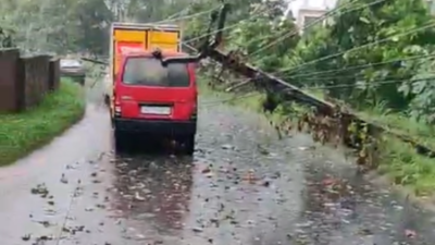 Kerala: Strong winds batter many parts of Kochi