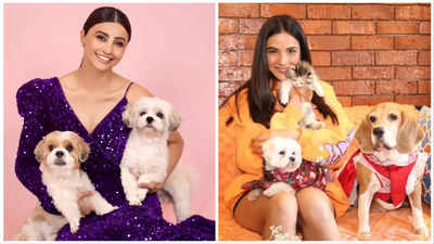 These celebrities bat for a pet-friendly Diwali