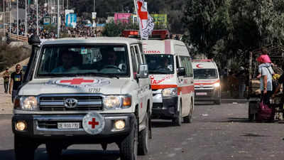 Gaza health system has reached 'point of no return': Red Cross