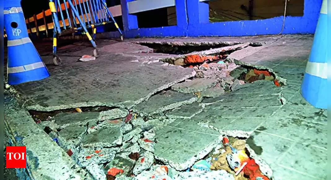 Sports Nutrition: Dhakuria Resident’s Rodent Sos To Mayor As Rat Menace ...