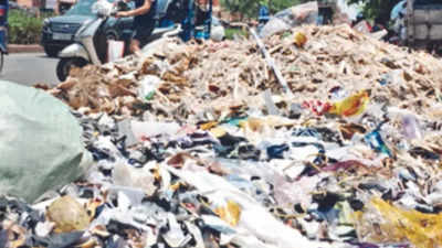 Delhi: Waste on roadsides tops list of green complaints