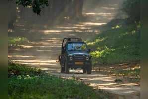 Exploring the diverse safari zones of Jim Corbett National Park
