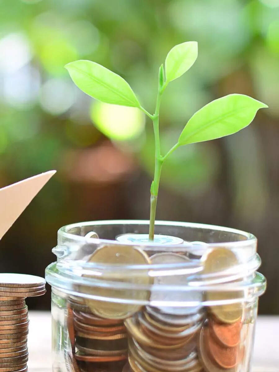 Mutual Fund SIP: Smart Tips To Maximise Your Returns With Bumper Gains ...