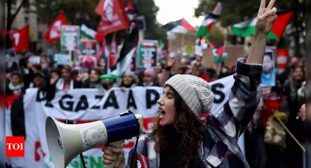 Palestine: Paris protesters call for Gaza ceasefire