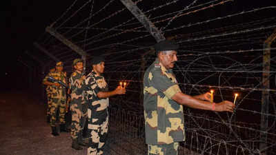 'Bee warriors' to help BSF on India-Bangladesh border