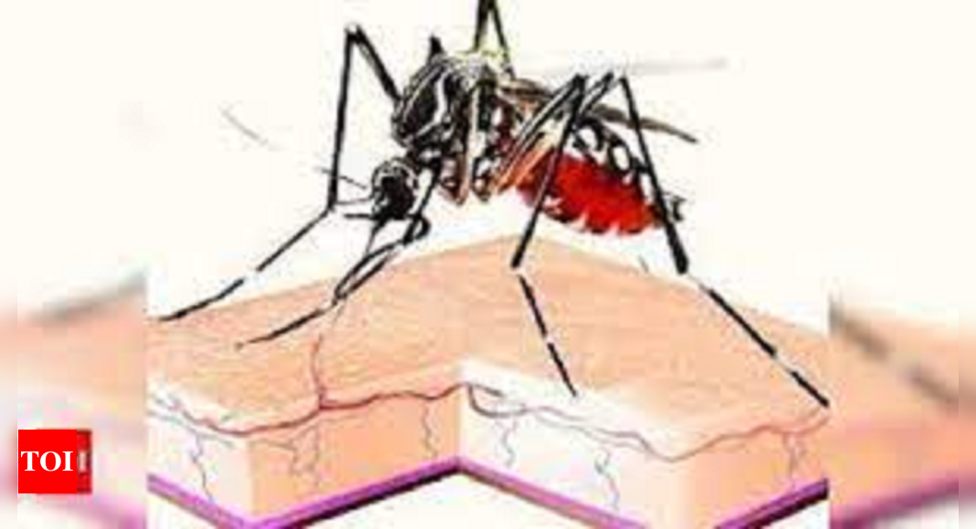 Bihar registers 197new dengue cases - Times of India