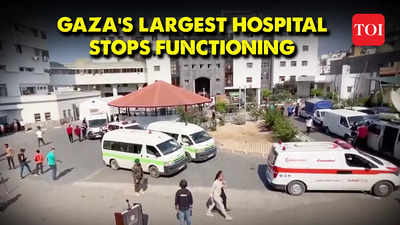 No incubators, medicine or milk: Gaza's premature babies are 'slowly being  killed