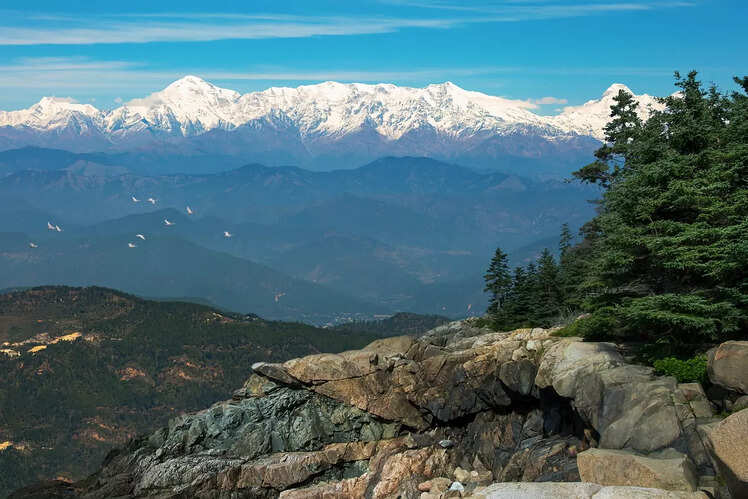 Binsar