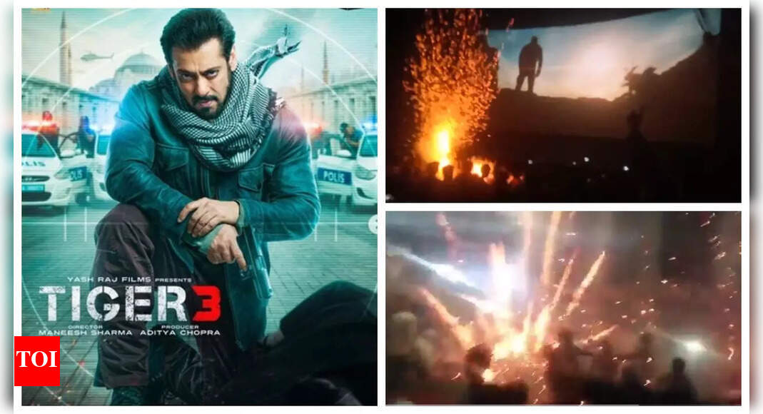 Salman Khan's 'Tiger 3' screening turns DANGEROUS after fans burst  crackers, rockets inside movie theatre - WATCH | Hindi Movie News - Times  of India