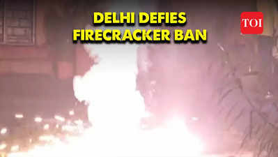 Despite Supreme Court ban Delhi skies light up with firecrackers on Diwali