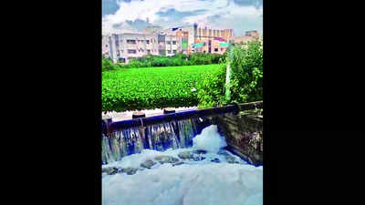 Sewage, effluents turn Putheri lake into sea of foam