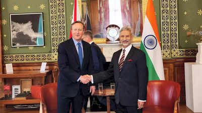 External affairs minister S jaishankar, David Cameron discuss India-UK relations, Israel-Hamas conflict