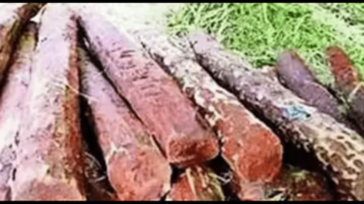 Red sandalwood farmers to benefit from CITES’ decision to remove India from a review process