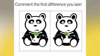 Think you're good at observing? Find all the differences in this panda puzzle under 30 seconds