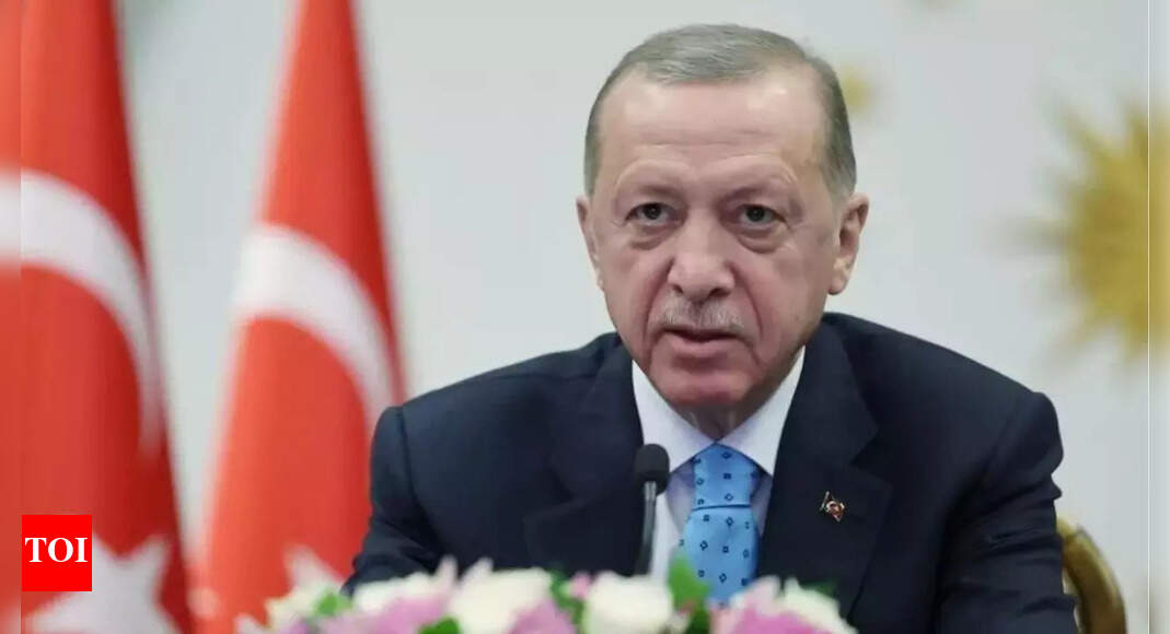 Sweden: Turkish parliament commission to debate Sweden Nato bid ...