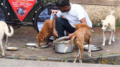 'Not dog feeding, but harassing feeders is a crime'