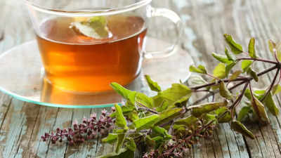 Tulsi tea: Best options for immunity, wellness & more