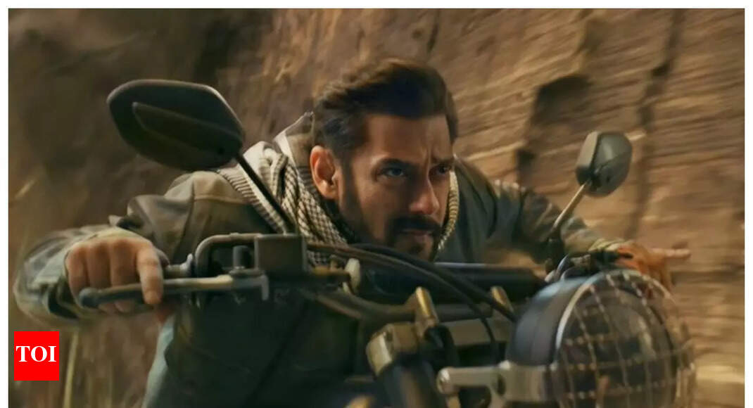 Tiger 3' box office collection: The Salman Khan starrer mints Rs 240 crore  worldwide | Hindi Movie News - Times of India