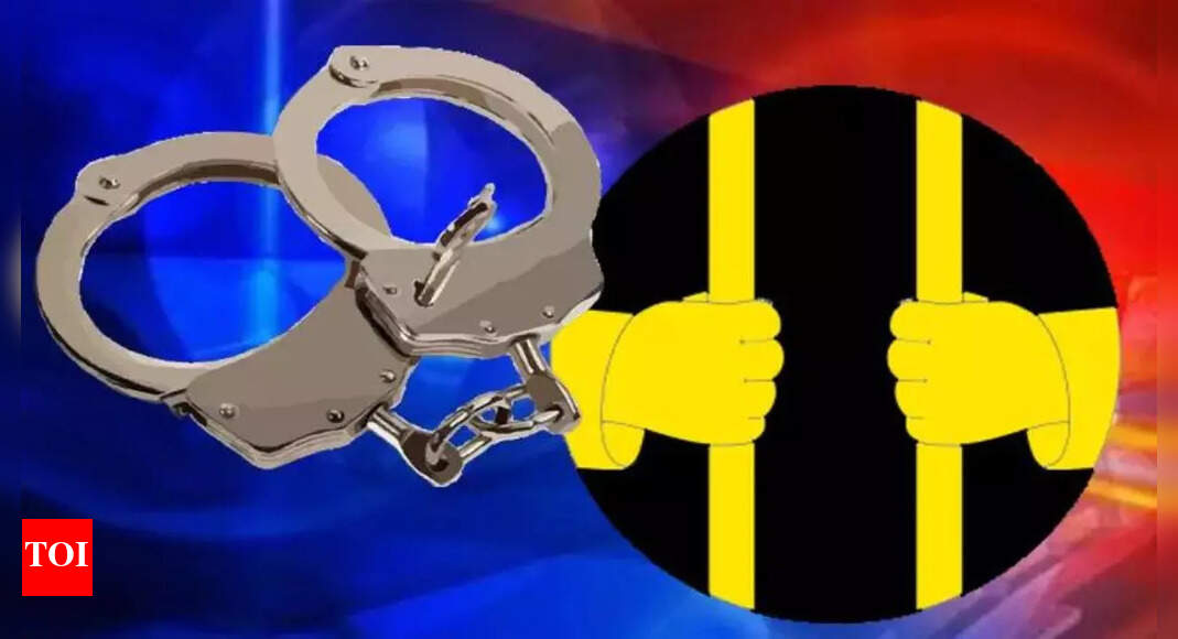 Pakistani Woman Son Detained At India Nepal Border India News