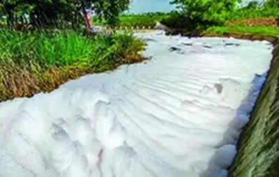 Polluted Tank: Toxic Foam: Iisc Team From Bengaluru Inspects Polluted ...